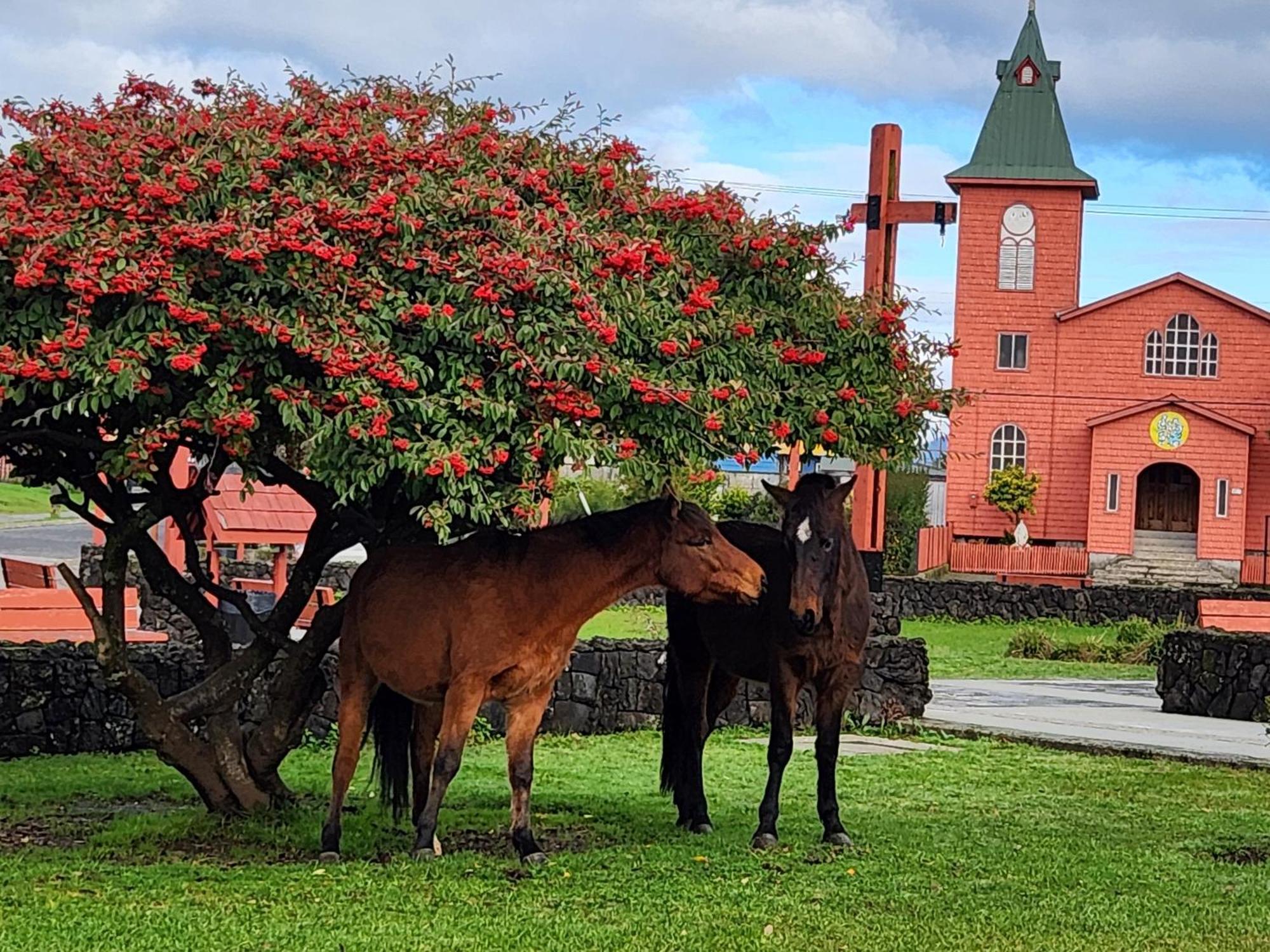 Cabañas Parque Chaqueihua Hornopirén Exterior foto